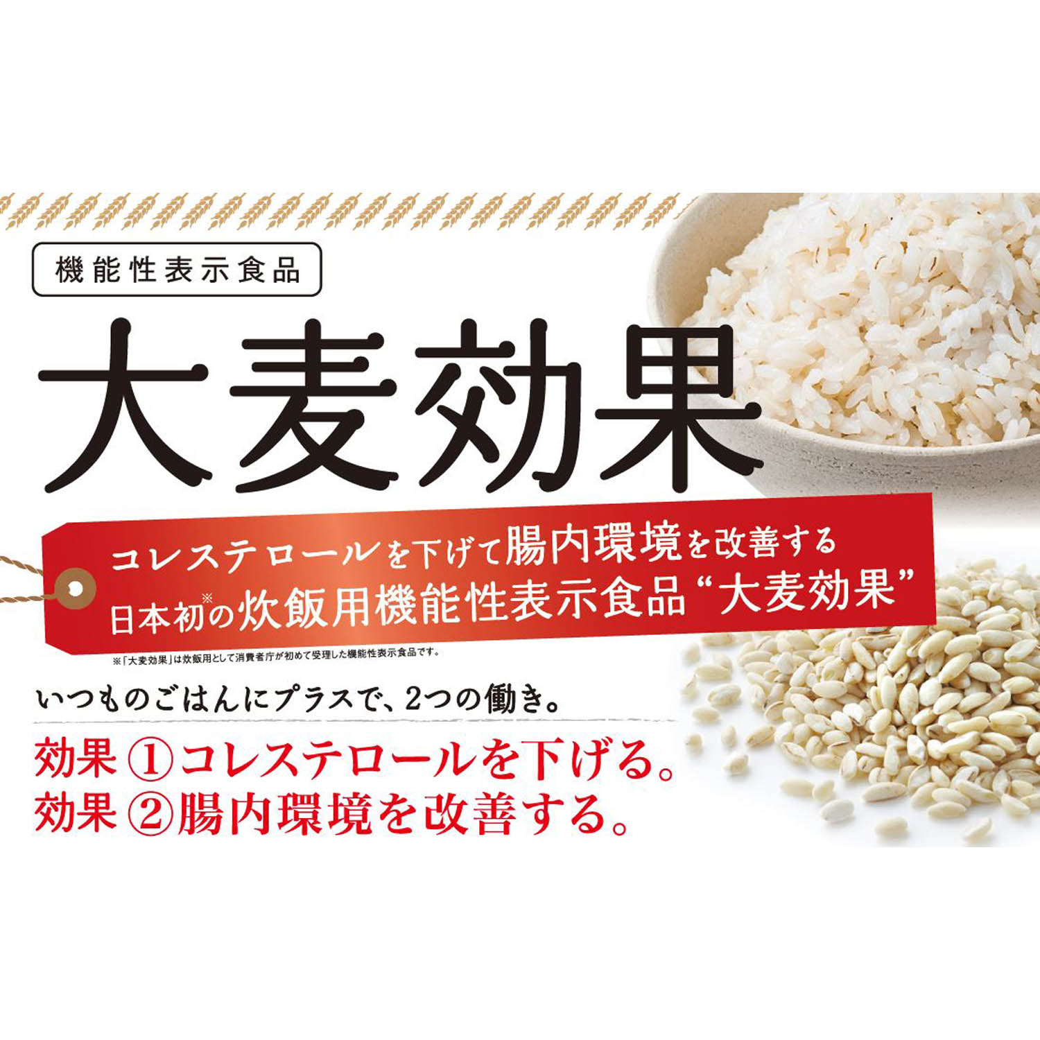【送料無料】【同梱不可】大麦効果 360g（60g×6）×6袋【定期購入】