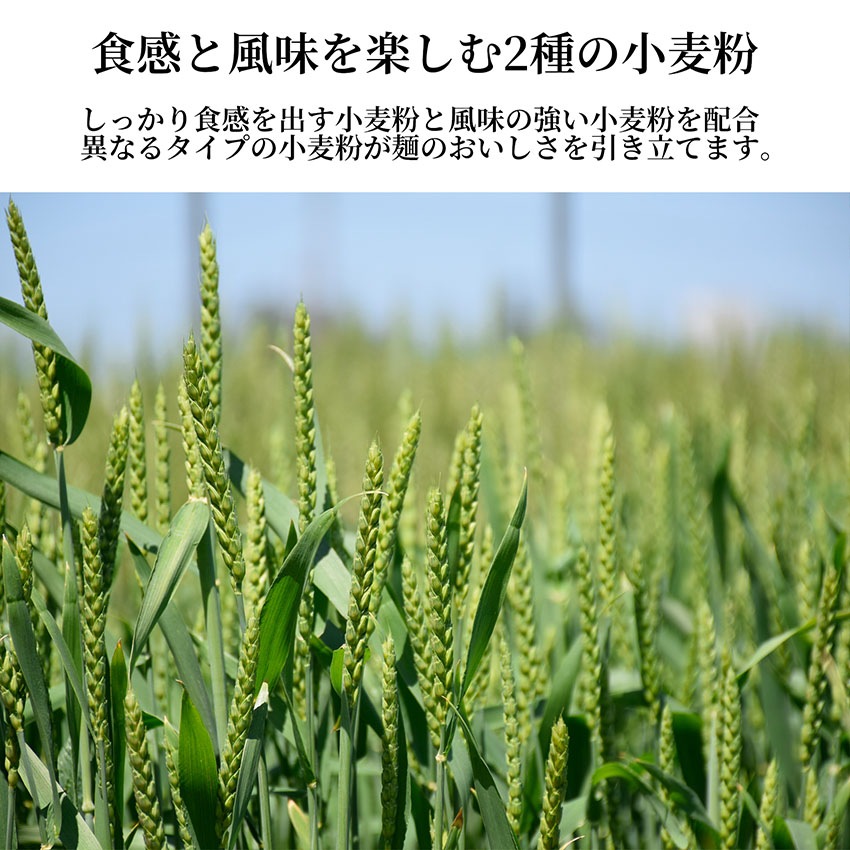 南アルプスのおいしいうどん 360g×12袋