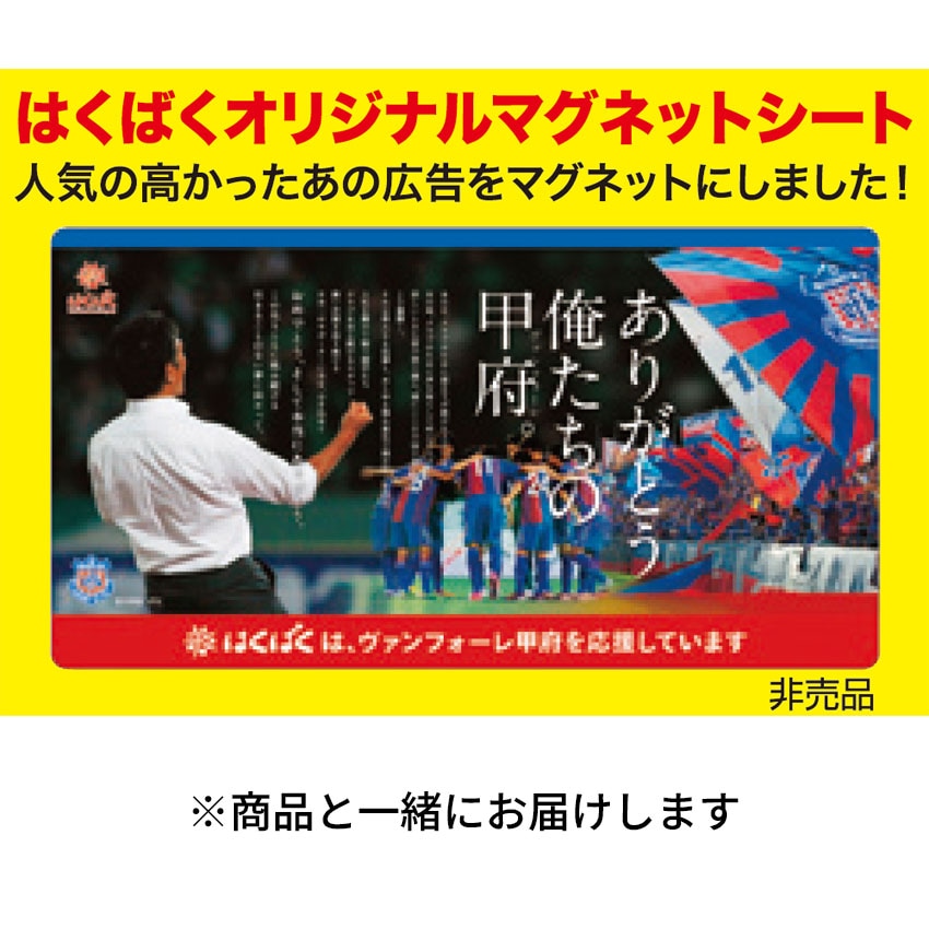 【販売終了】VF甲府応援ドリームBOX2026【同梱不可】【送料無料】