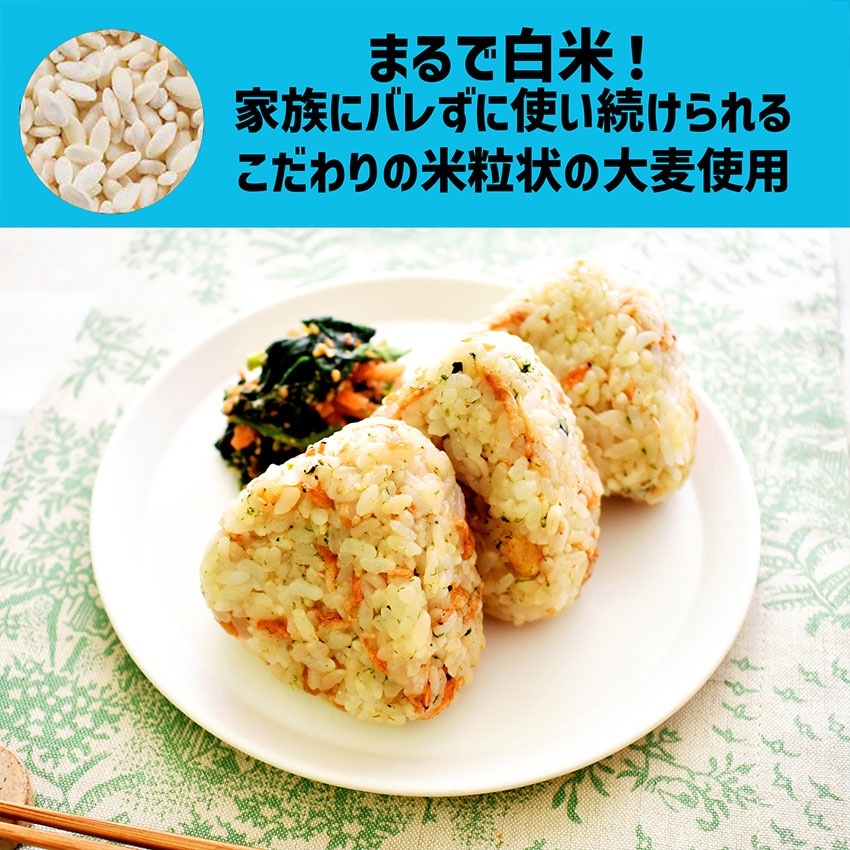 骨太家族＋GABA　100g(10g×10)