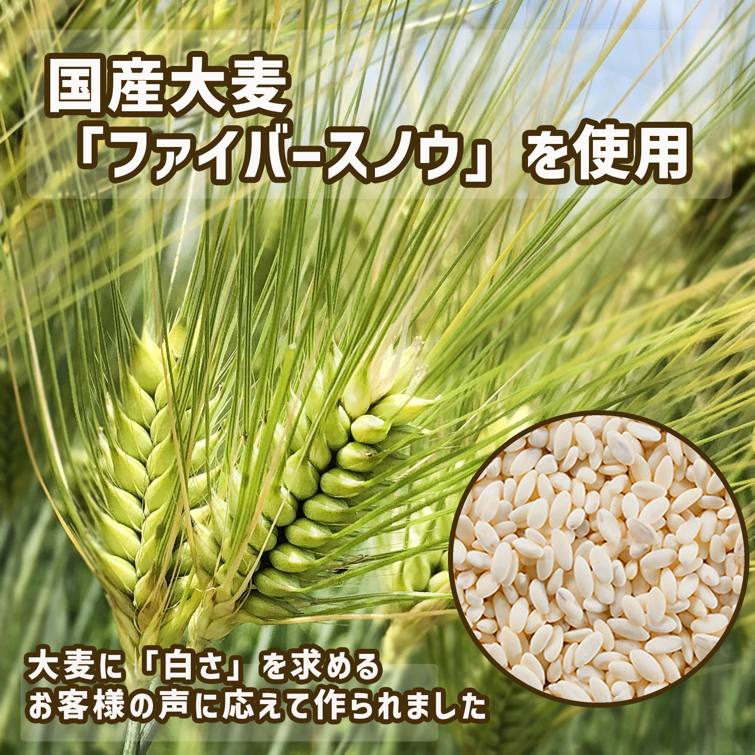 ̵۹²Ca 300g2ޡ