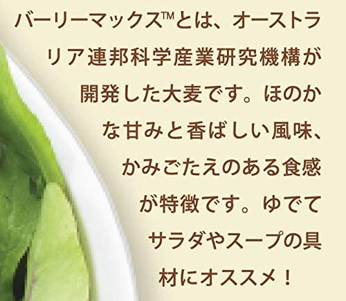 スーパーフード バーリーマックス 180g×6袋