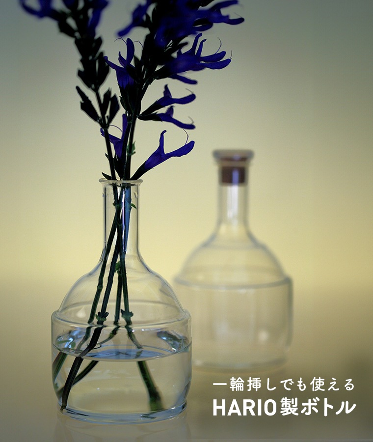 【父の日2026】百 23度 500ml 化粧箱入り<span style=color:#C50505;>※送料無料</span>