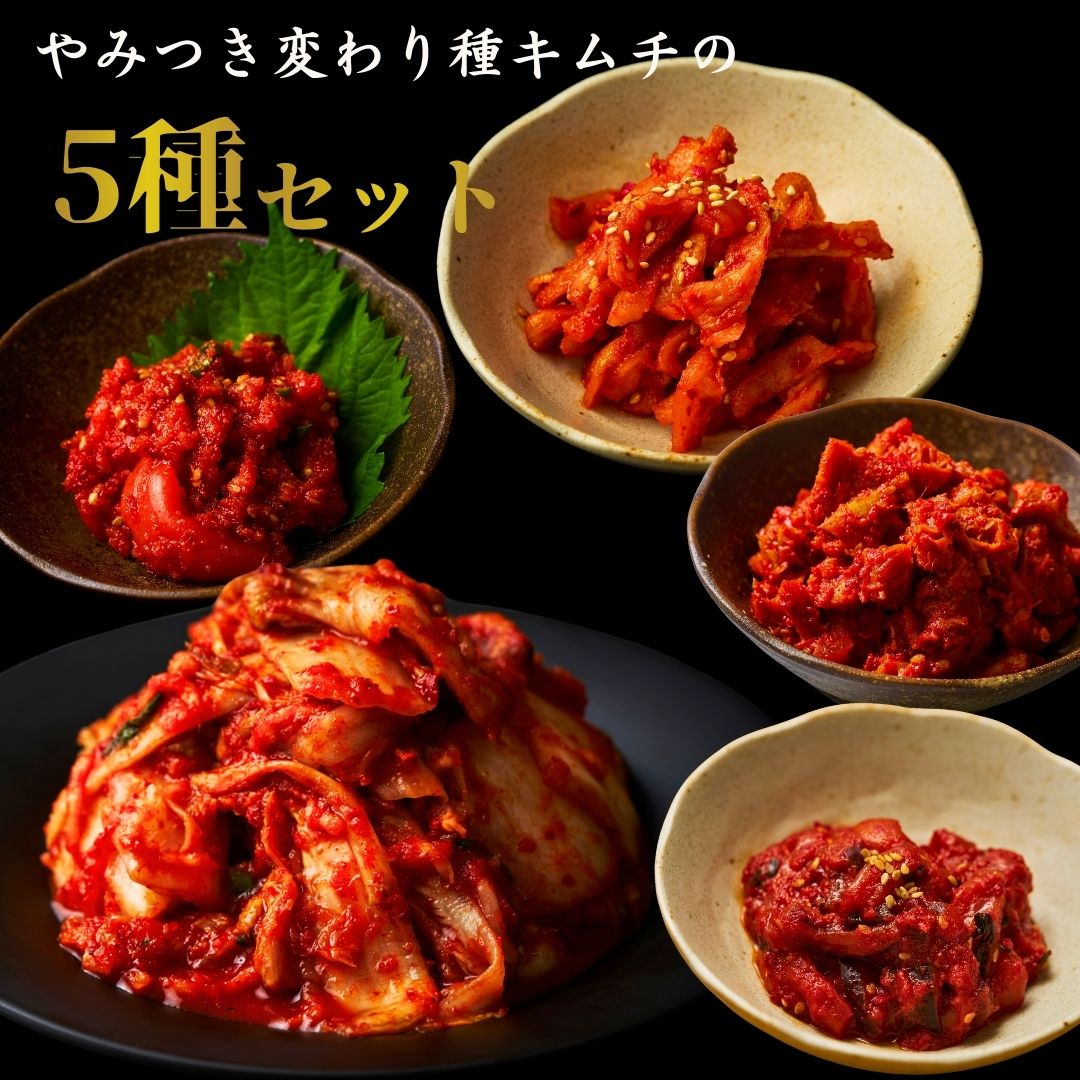 白菜キムチ300+ホルモンチャンジャ50gイカキムチ50ｇ割り干しキムチ60ｇ明太子キムチ50ｇ（キムチ5種）食べ比べセット