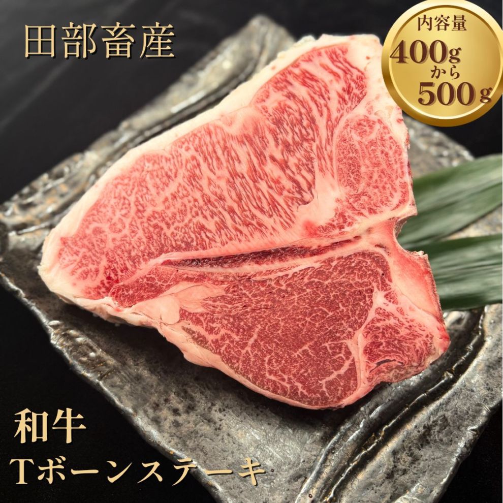 送料無料！Tボーンステーキ 400gから500g｜サーロイン＆ヒレを同時に味わう豪快カット（Tボーン）