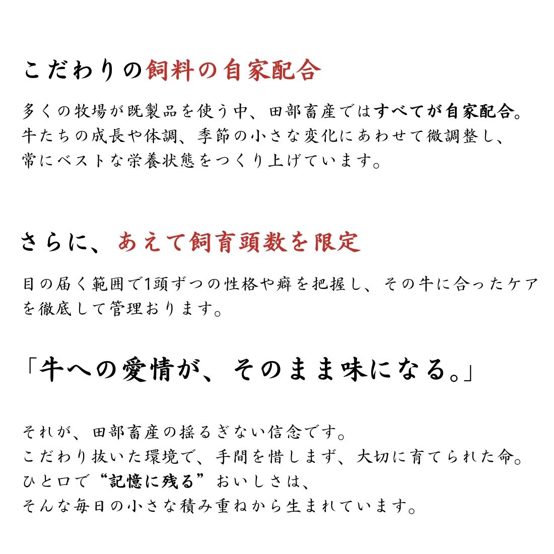 送料無料！Tボーンステーキ 800gから900g｜サーロイン＆ヒレを同時に味わう豪快カット（Tボーン）