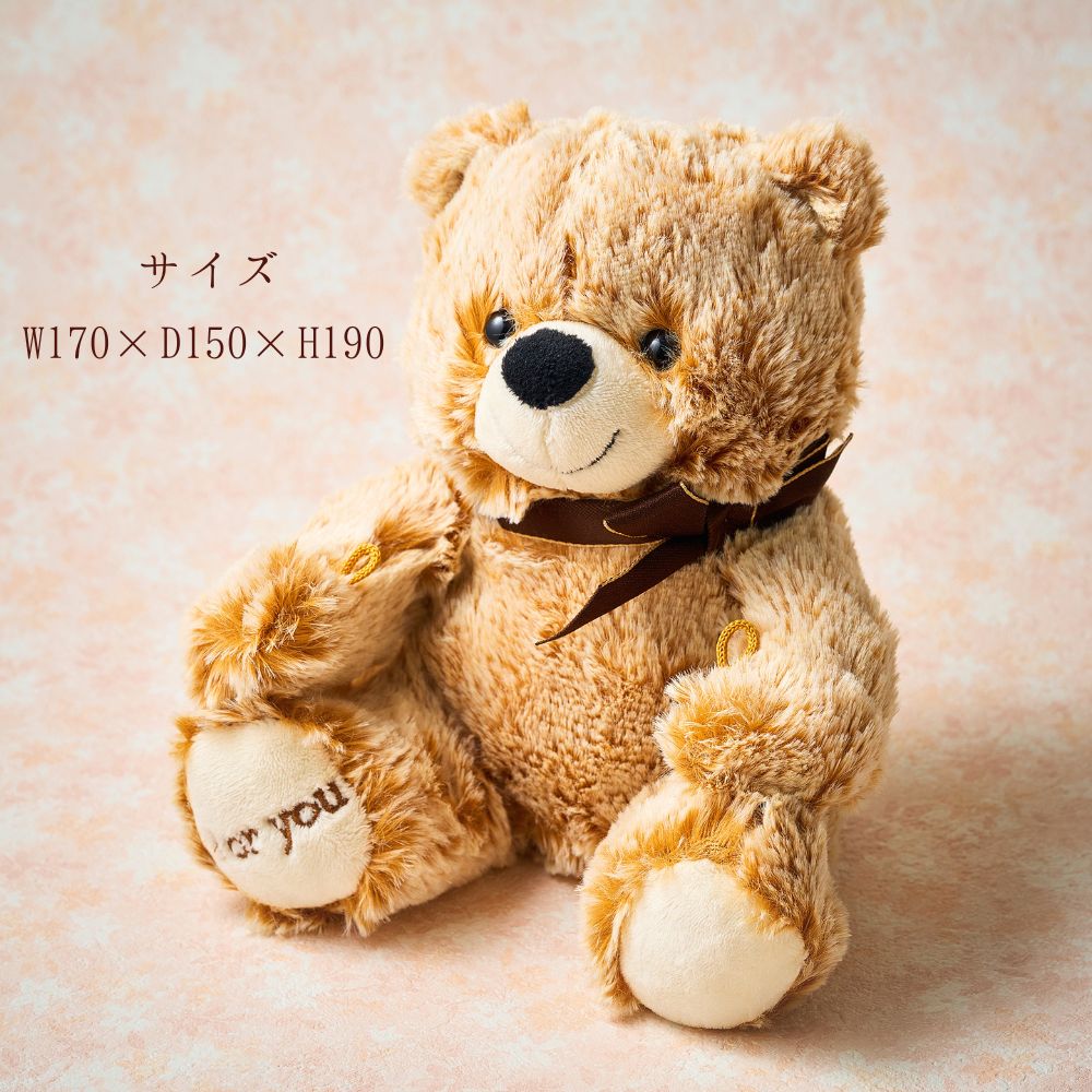お花のお肉とぬいぐるみのギフトセット（Bear M 250g）