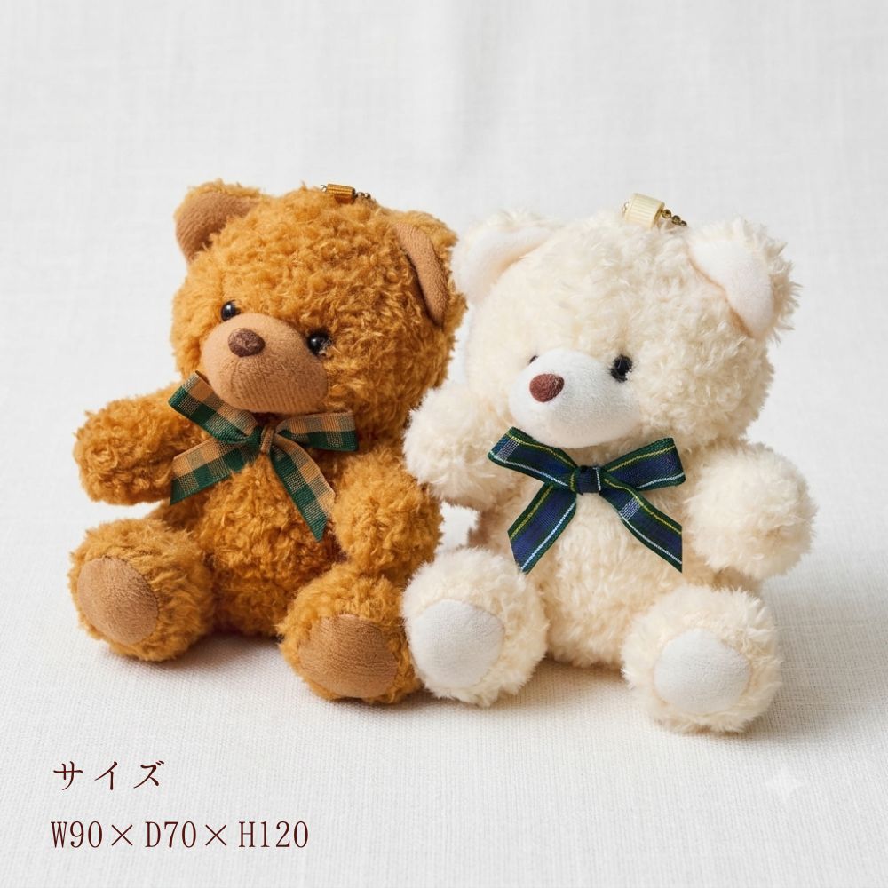 お花のお肉とぬいぐるみのギフトセット（Bear W 300g）