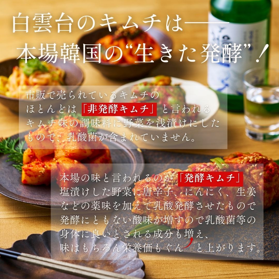 送料無料！超お得！ 国産キムチ【白菜】3kg