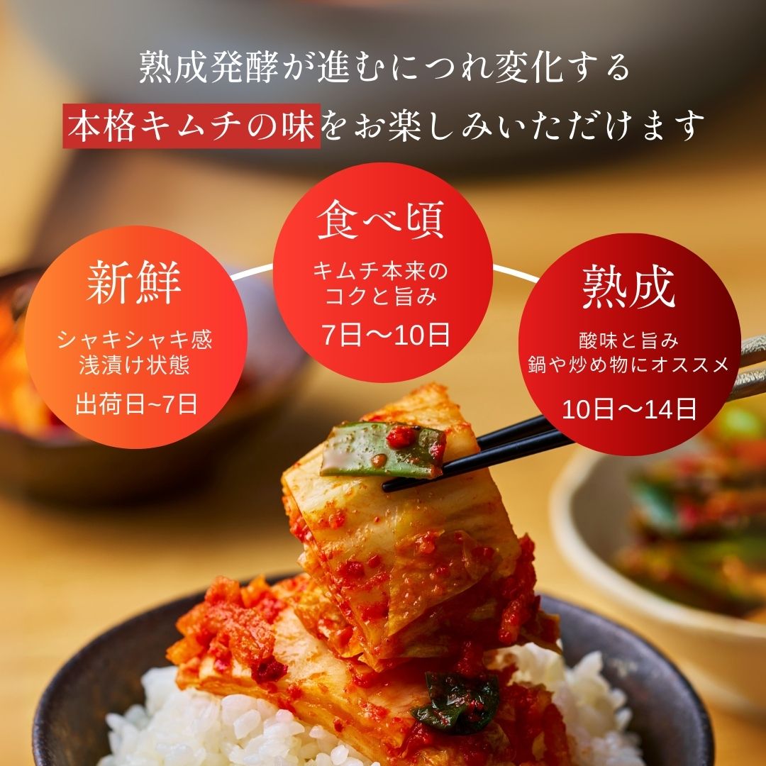 送料無料！超お得！ 国産キムチ【白菜】3kg