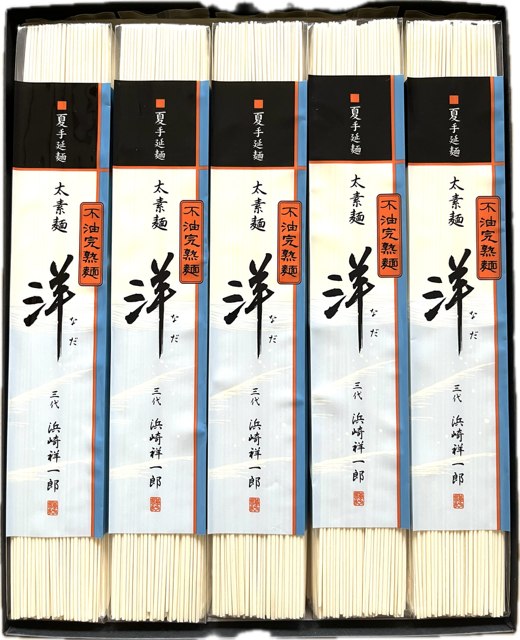300g1
