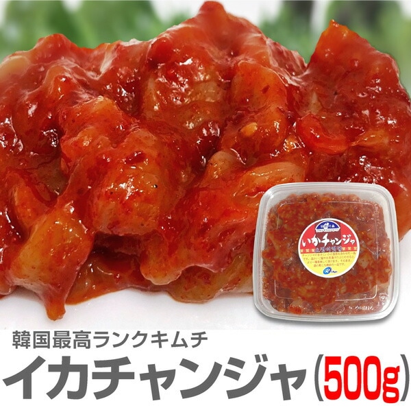 ● 浜田屋のキムチ (冷凍品) イカキムチ チョイ辛 (500gパック) 本格仕込みイカチャンジャ