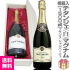 ܥա 1500ml Ȣա˥ƥ󥸥 ֥å 쥼֡ ޥʥॷѥ̵(ʩ)