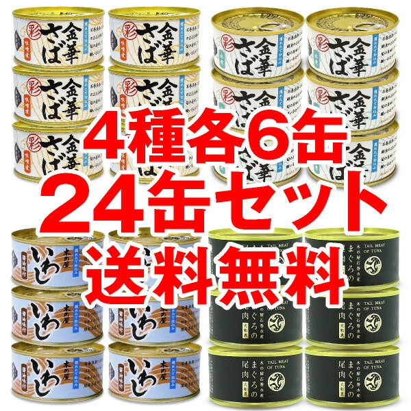 (缶詰 24缶セット) 木の屋 彩 金華鯖味噌 彩 金華鯖水煮 いわし缶 鮪の尾肉缶(各170g×6缶) (宮城県)