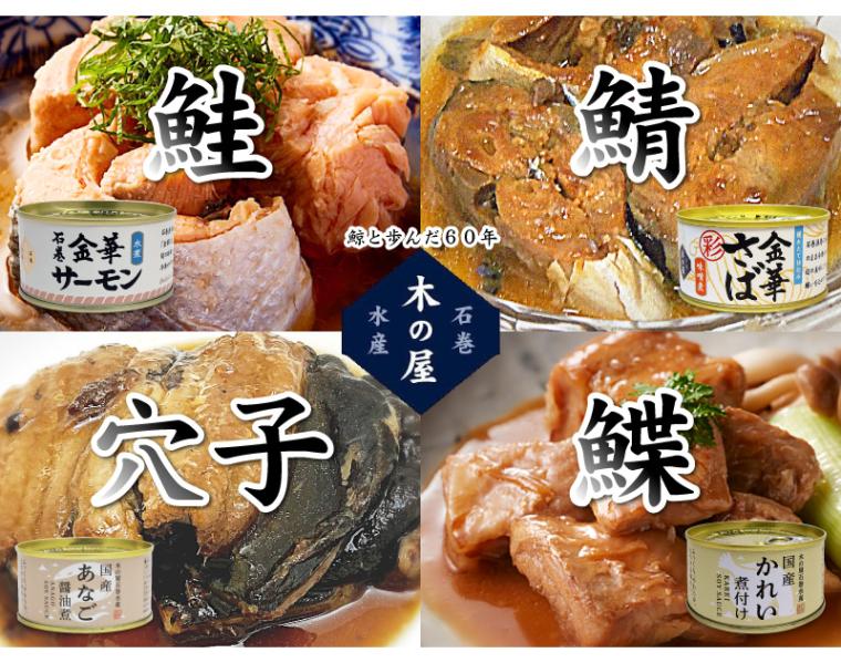 (缶詰 24缶セット) 木の屋 サーモン水煮 彩金華サバ味噌煮 あなご醤油煮 国産かれい煮付(各170g×各6缶) 木の屋 (宮城県)