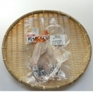 ★お取り寄せ★開のどぐろ（特大）