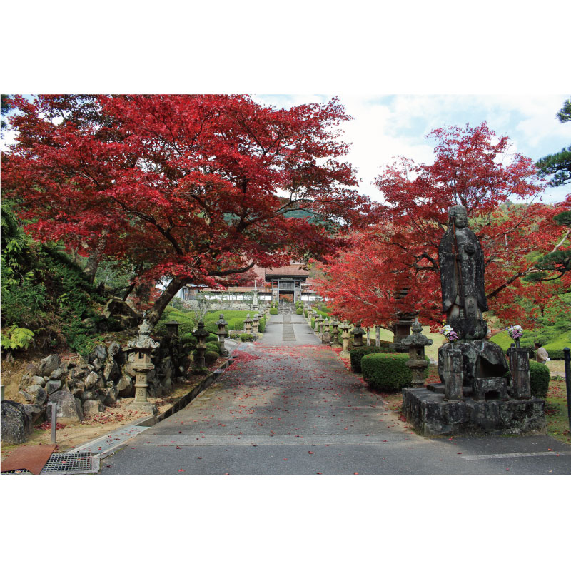 ポストカード(龍雲寺の紅葉)