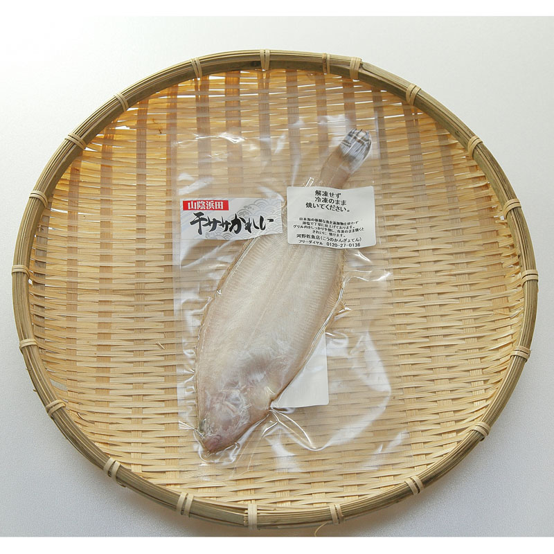 ★お取り寄せ★干ササカレイ