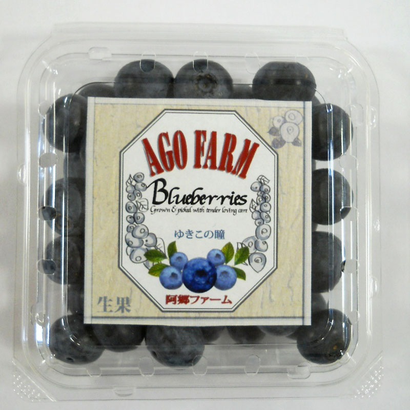 ★夏季限定★★お取り寄せ★ブルーベリー生果