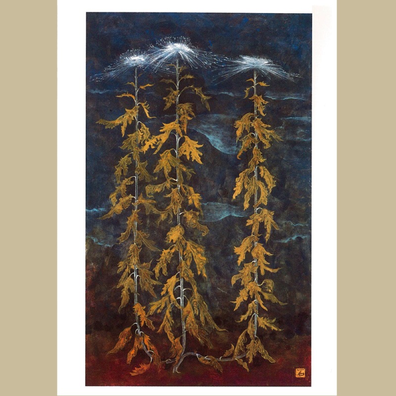絵はがき (石本 正 「石見菊」 2004(平成16)年)