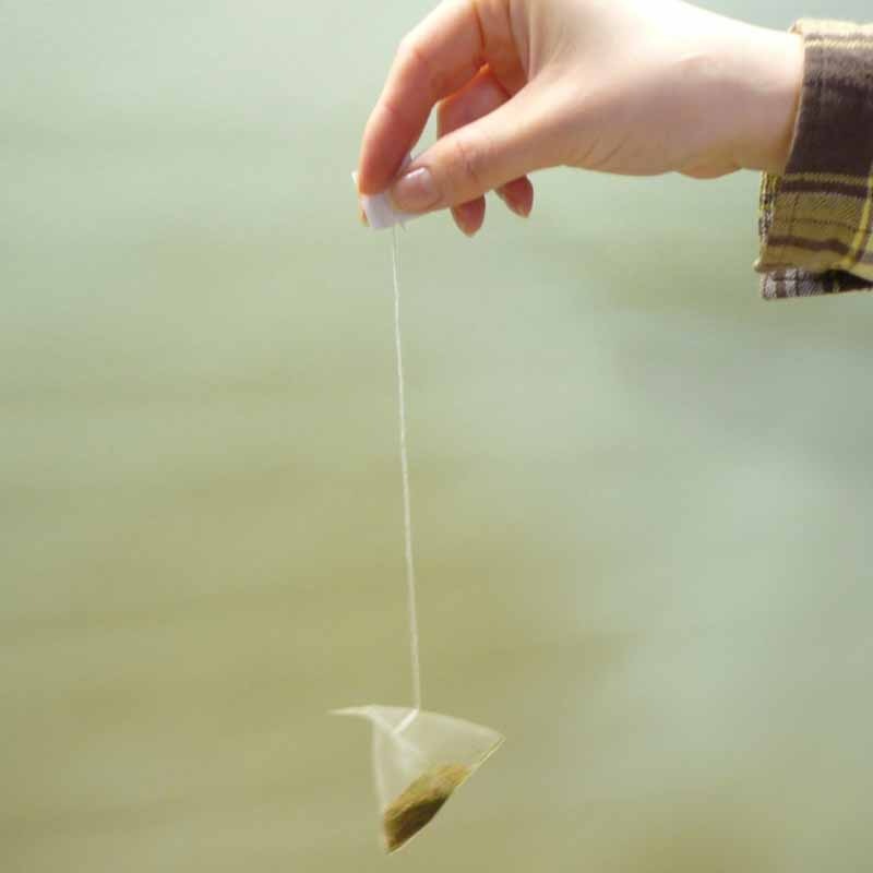 ★お取り寄せ★ほうじ茶TB(テトラタイプ)