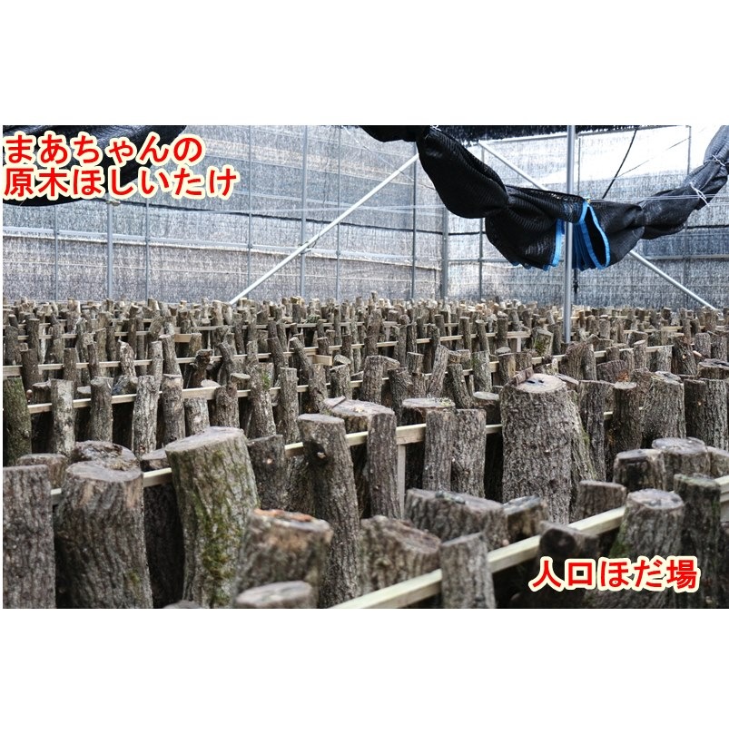 ★お取り寄せ★ほしいたけ丸ミニ（50ｇ）