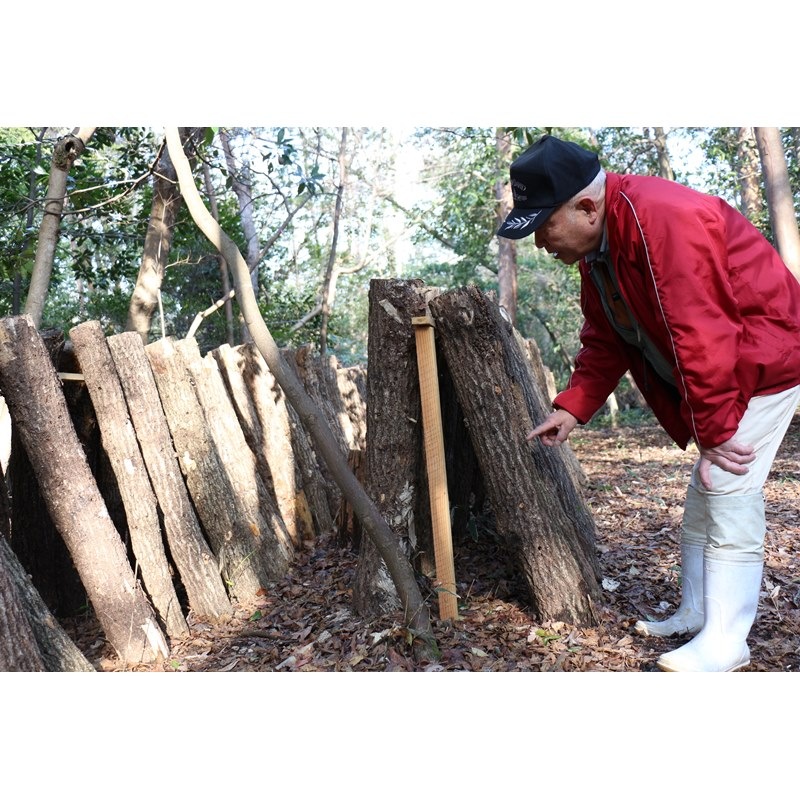 ★お取り寄せ★ほしいたけ丸ミニ（50ｇ）