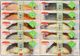 ��e���ե����ѡ����٤볤�ι�e���եȡ��˥�����