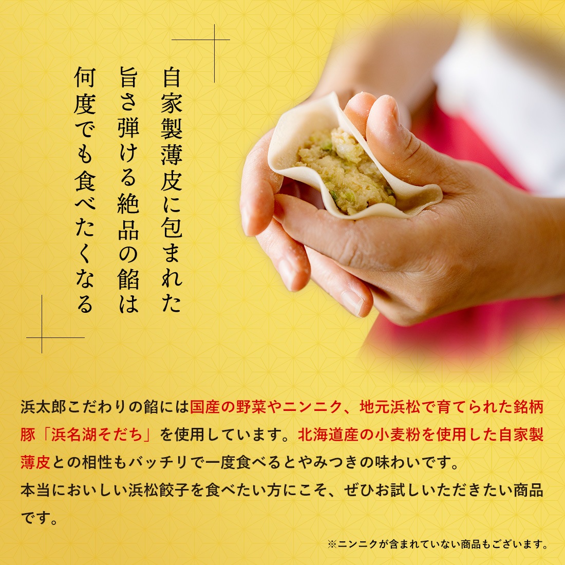 【浜松餃子】グランプリセット（赤・白・桜えび各20個）｜一番人気セット｜お歳暮・お年賀ギフトに