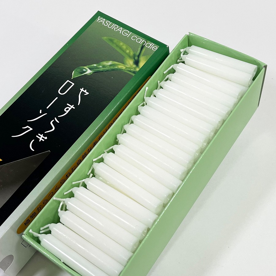 【ローソク】 植物ローソク 25ダルマ 120P