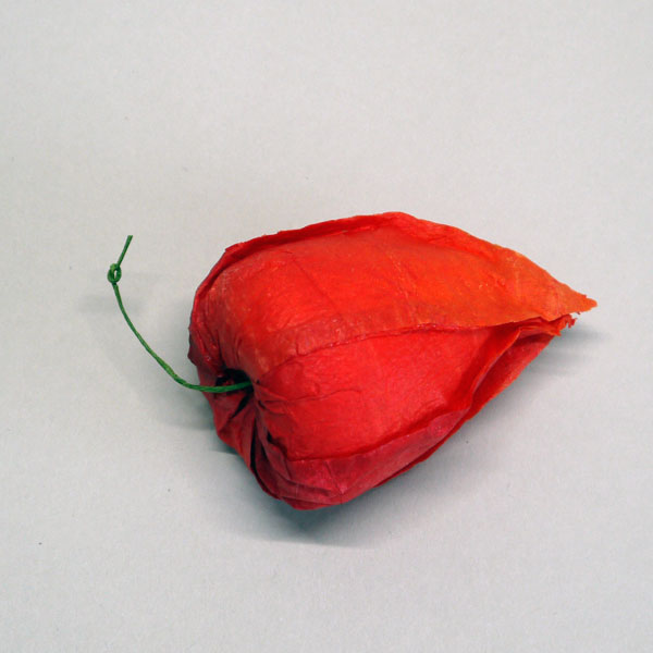 【初盆セット】 ペット用 犬用お盆セット