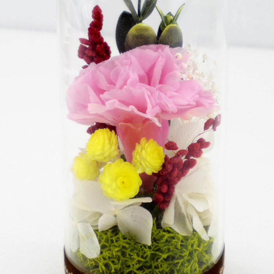 カーネーション かわ ピンク ピンポンマム プリザ プリザーブドフラワー 仏壇 仏花 供え花 供養 献花 通販 長持ち 飾り 最大79 オフ ピンク カーネーション かわ ピンク ピンポンマム プリザ プリザーブドフラワー 仏壇 仏花 供え花 供養 献花 通販 長持ち 飾り 最大79 オフ ピンク
