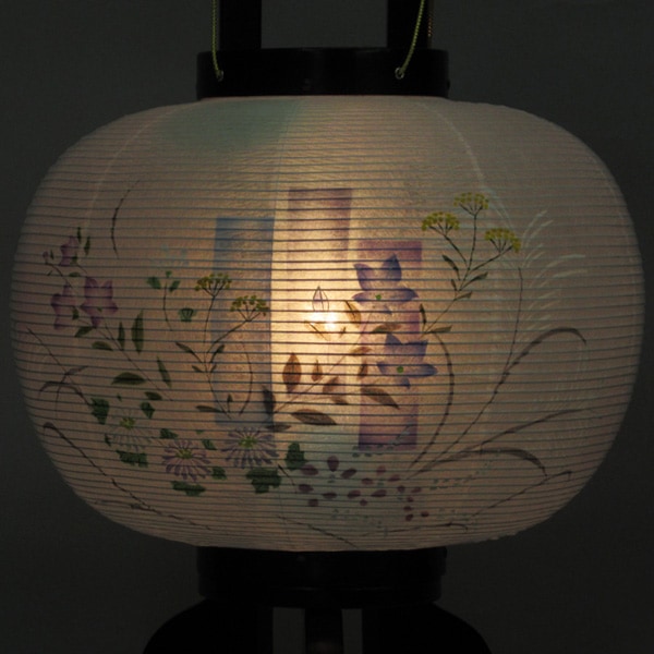 【伝統型提灯】 9号 ブラウン 菊桔梗 MG（回転式）高さ71cm