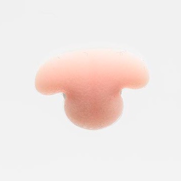 ǭɡ�ʥ������