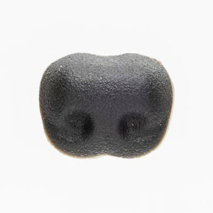 ��ɡ�ʥ֥�å���S/M/L/LL