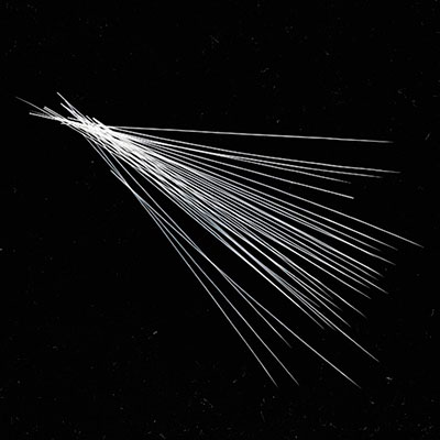 �ꥢ�� �ҥ��ʸ�ǭ���ѡ˥��ꥢ