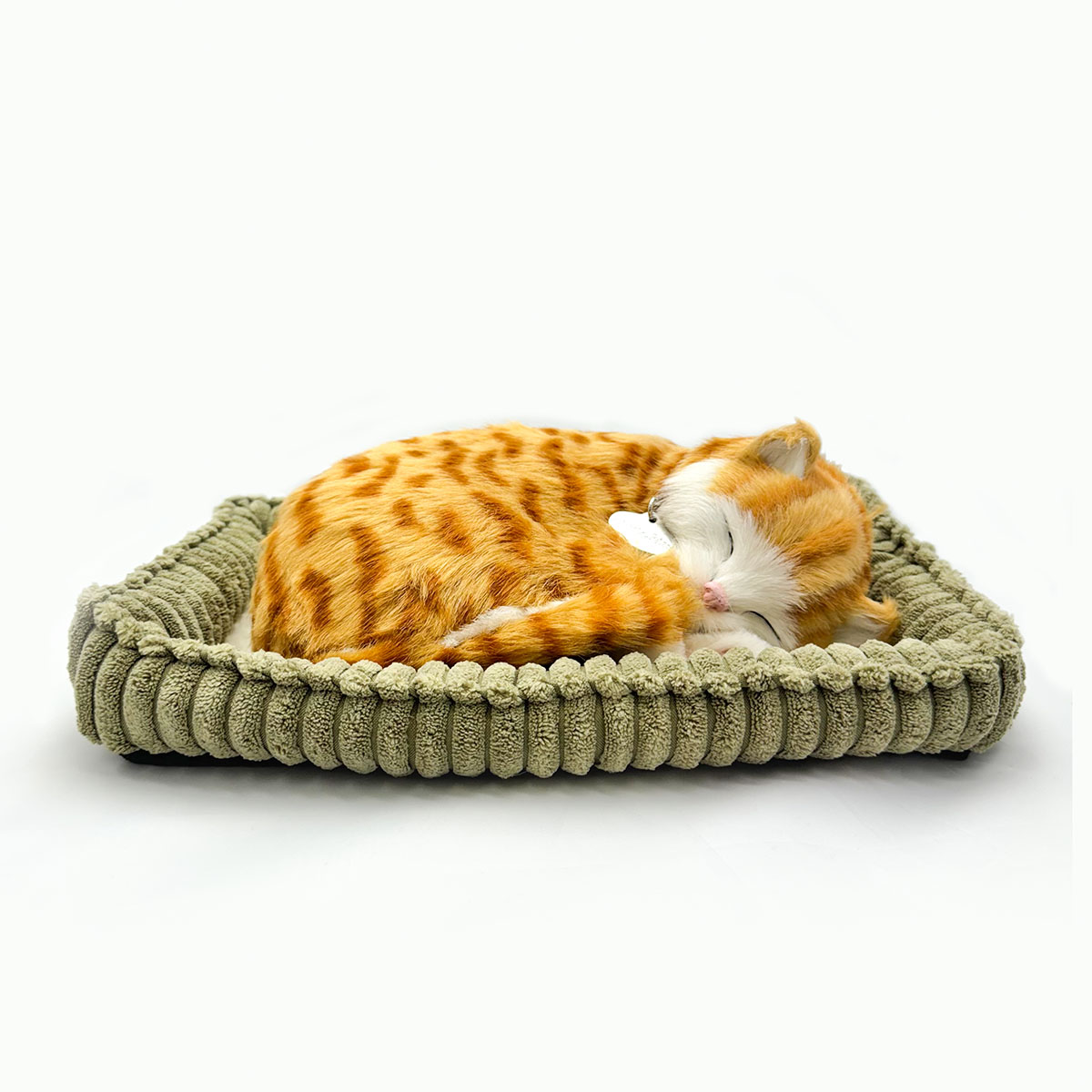 �Ƶۤ���ǭ�Τ̤������