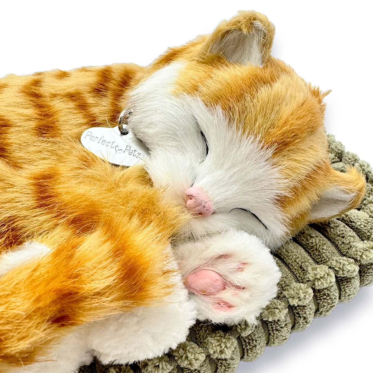 �Ƶۤ���ǭ�Τ̤������