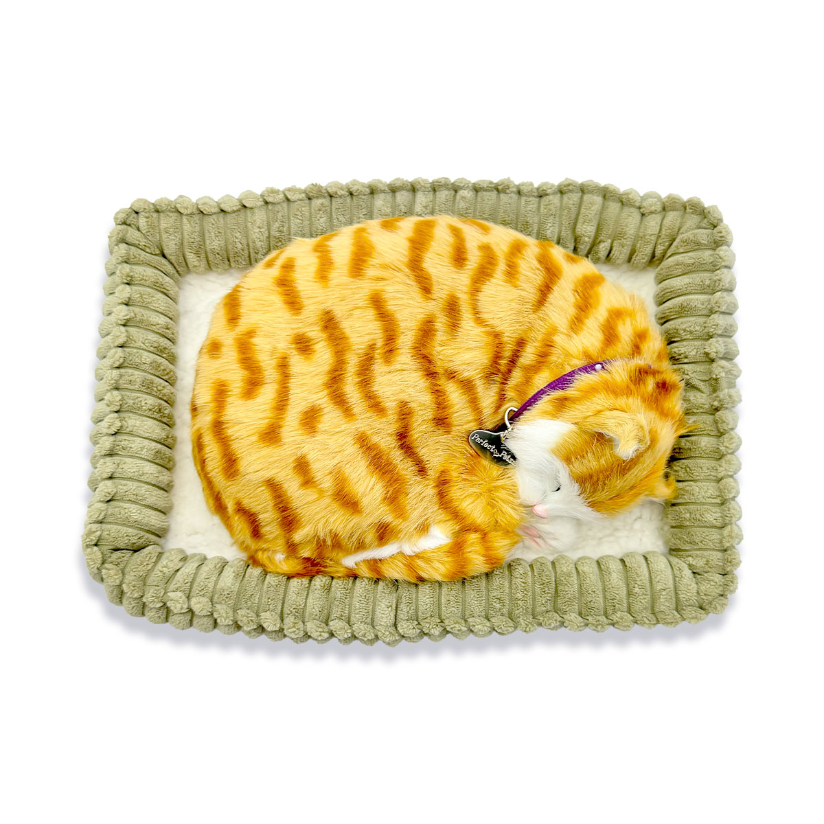 �Ƶۤ���ǭ�Τ̤������