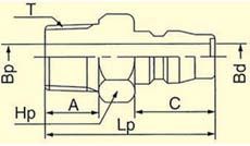 ϥץ顡ץ饰30PM(ͥ)