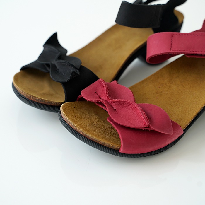 �ڥ���ץ륻�����LOINTS OF HOLLAND ������� ���ȥ�åץ������ 52205 NEXT ��ǥ����� ��