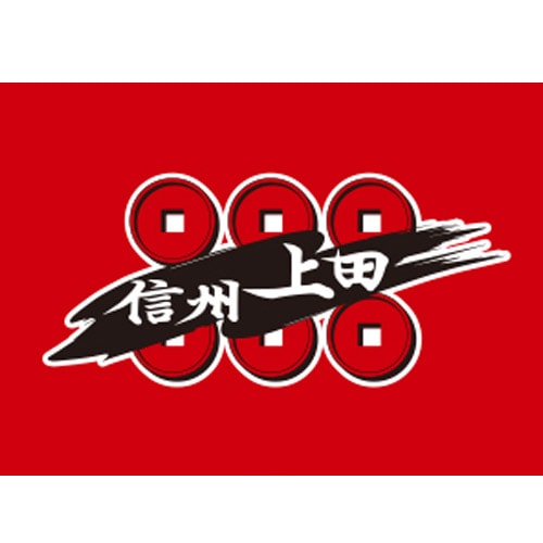 真田幸村牡丹（18本入） No500 | 線香花火 | eはなびやさん│圧倒的な