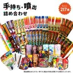 手持ち・噴出詰め合わせ（L）（対象地域送料無料）　