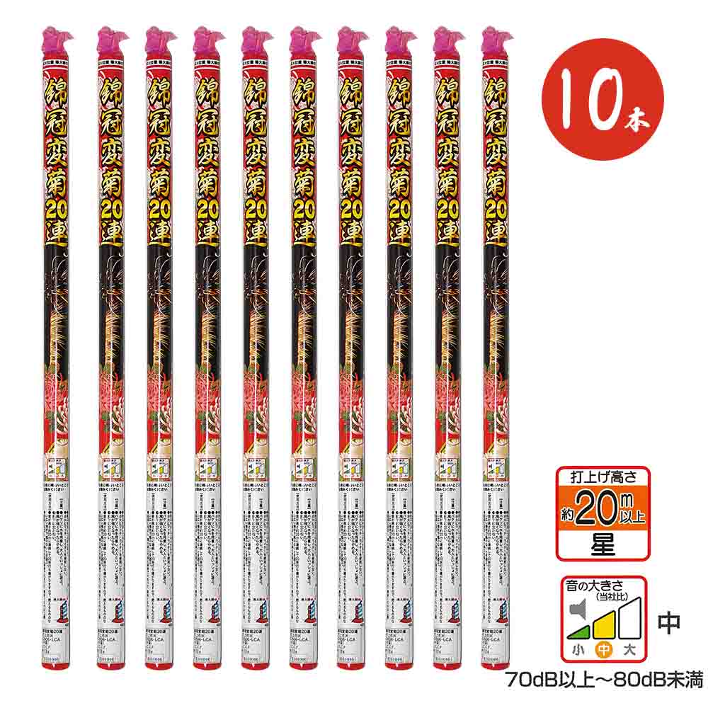 【バラ売り可】ツキウタ。 ハピチャンクジ 126点 錦冠変菊20連 No500（10個セット） | 打ち上げ花火 | eはなびやさん