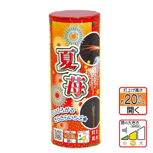 三連花火 2024長岡花火】正三尺玉 3連発［2024.08.03］｜Nagaoka