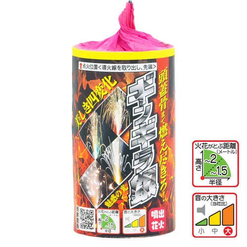 花火写真 2枚セット 25 2025 柏崎花火【なんと！三尺玉2発同時打ち！！】NGT48コラボ