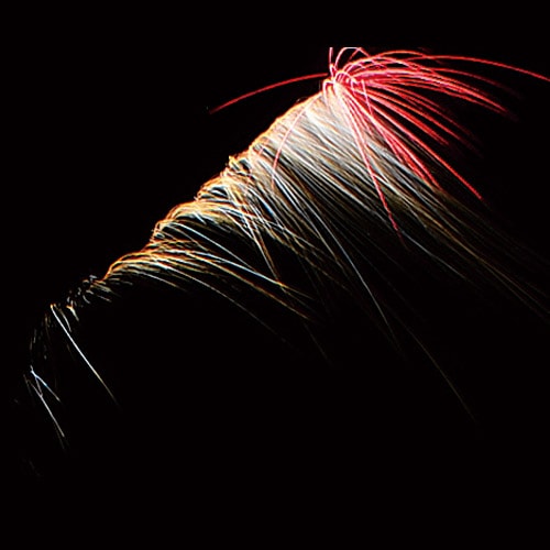 ドラゴン空を飛ぶ No1200 | 打ち上げ花火 | eはなびやさん│圧倒的な品