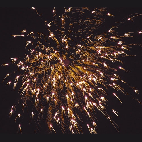 紅芯入菊牡丹 No1200 | 打ち上げ花火 | eはなびやさん│圧倒的な品揃え