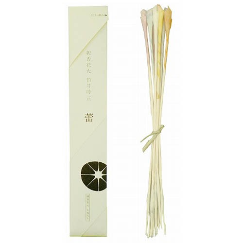 ほんわか全開幼なじみ 涼花 4枚セット 線香花火筒井時正 蕾（つぼみ） | 線香花火 | eはなびやさん│圧倒的な