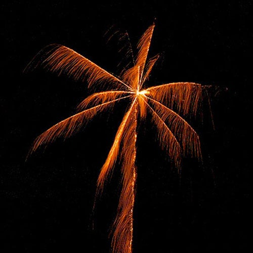 椰子 No1700 ※メーカー終売のため在庫限り | 打ち上げ花火 | eはなびや